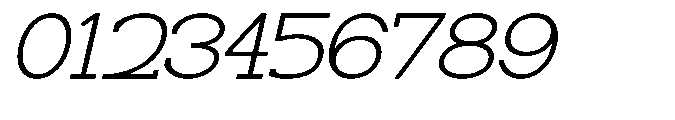Newborn Times Thin Slanted Expanded Font OTHER CHARS