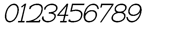Newborn Times Thin Slanted Font OTHER CHARS