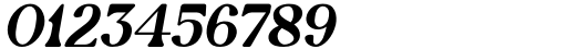 Newgate Bold Italic Font OTHER CHARS