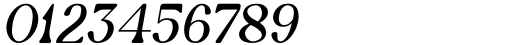 Newgate Italic Font OTHER CHARS