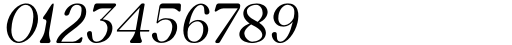Newgate Light Italic Font OTHER CHARS