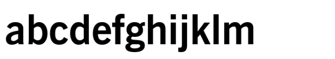 News Gothic BT Bold Font LOWERCASE