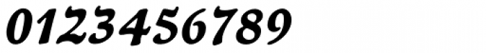 Newt Serif Bold Italic Font OTHER CHARS