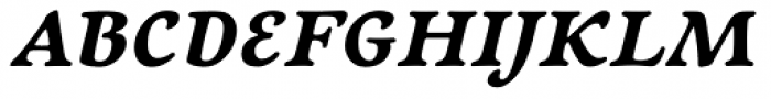 Newt Serif Bold Italic Font UPPERCASE