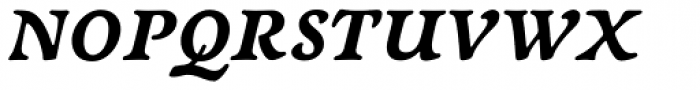 Newt Serif Bold Italic Font UPPERCASE