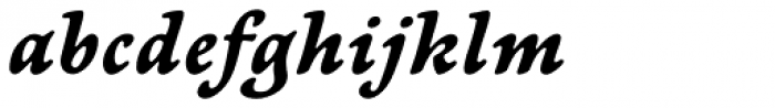 Newt Serif Bold Italic Font LOWERCASE