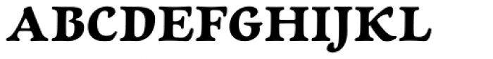 Newt Serif Bold Font UPPERCASE