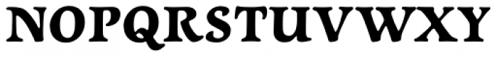 Newt Serif Bold Font UPPERCASE