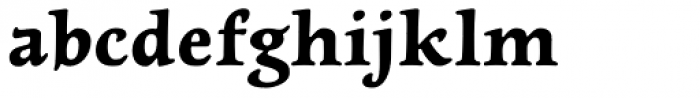 Newt Serif Bold Font LOWERCASE