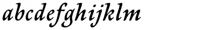 Newt Serif Demi Italic Font LOWERCASE