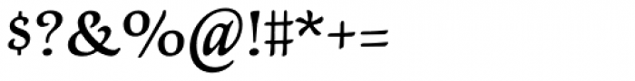 Newt Serif Demi Font OTHER CHARS