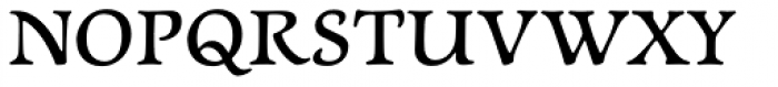 Newt Serif Demi Font UPPERCASE