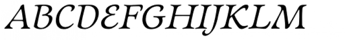 Newt Serif Italic Font UPPERCASE