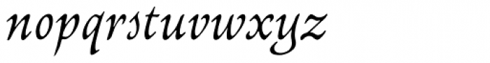Newt Serif Italic Font LOWERCASE