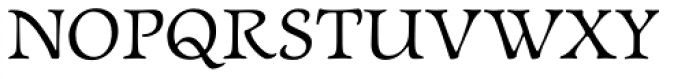 Newt Serif Font UPPERCASE
