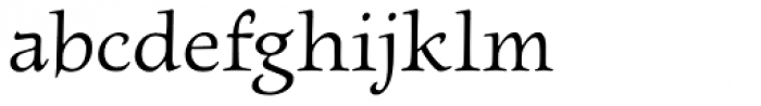 Newt Serif Font LOWERCASE