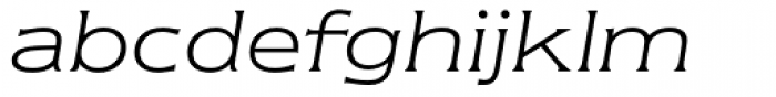 Newtext Light Italic Font LOWERCASE