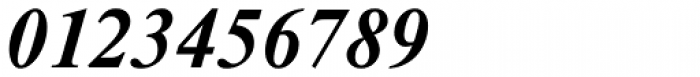 Newton Bold Italic Font OTHER CHARS