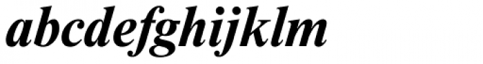 Newton Bold Italic Font LOWERCASE