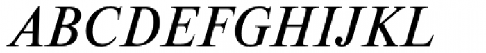 Newton Italic Font UPPERCASE