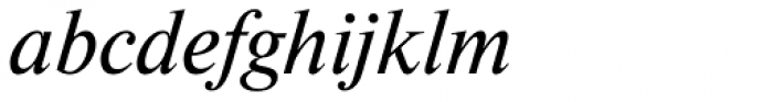 Newton Italic Font LOWERCASE