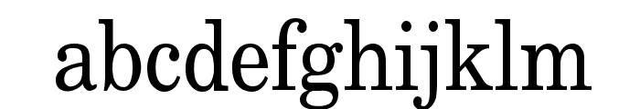 New Boston Condensed Normal Font LOWERCASE