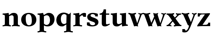 NewAsterLTStd-Bold Font LOWERCASE