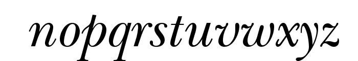 NewBaskervilleStd-Italic Font LOWERCASE