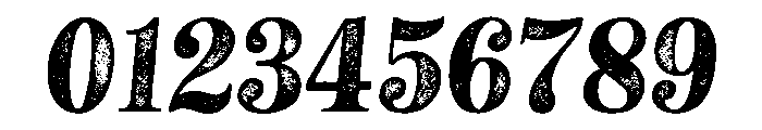 NeatoSerif RegularItalicRough Font OTHER CHARS