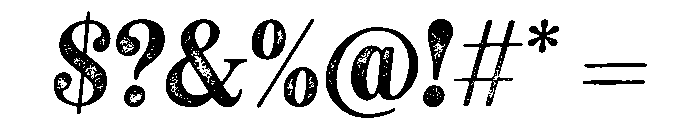 NeatoSerif RegularItalicRough Font OTHER CHARS
