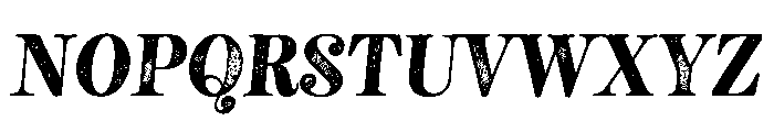 NeatoSerif RegularItalicRough Font UPPERCASE