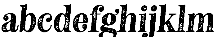 NeatoSerif RegularItalicRough FONT