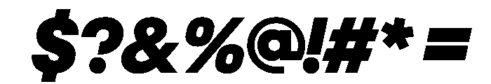 NeoGeoVAR BlackItalic Instance Font OTHER CHARS