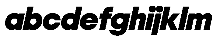 NeoGeoVAR BlackItalic Instance FONT