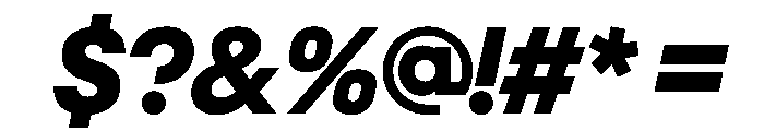 NeoGeoVAR ExtraBoldItalic Instance Font OTHER CHARS
