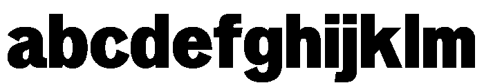 Neptun NordBlack Instance FONT