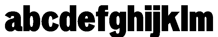 Neptun NordSemiCondensedBlack Instance FONT