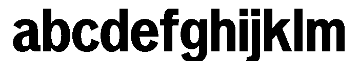 Neptun NordSemiCondensedBold Instance FONT