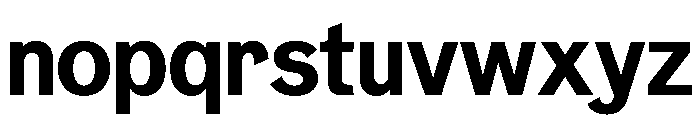 NeptunNordStandard NordBold Font LOWERCASE