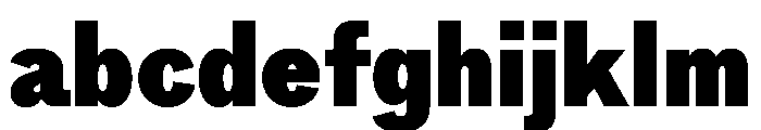NeptunSd SdBlack FONT