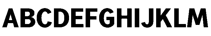 NeptunSd SdBold Font UPPERCASE