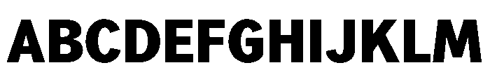 NeptunSd SdExtraBold Font UPPERCASE