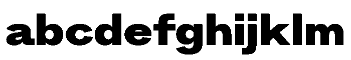 NeptunSdExtraWide SdExtraWideBlack FONT