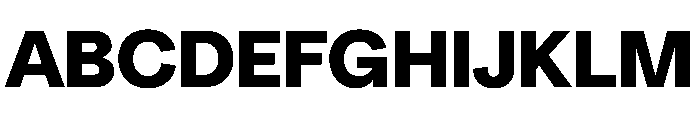 NeuSans Black Instance Font UPPERCASE