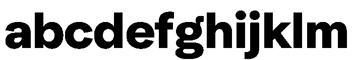 NeuSans Black Instance FONT