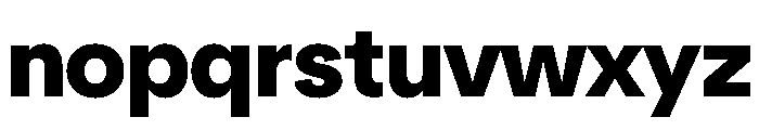 NeuSans Black Instance Font LOWERCASE