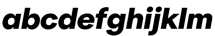 NeuSans BlackItalic FONT