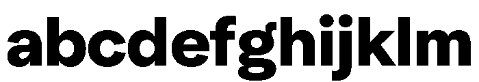 NeuSans Black FONT