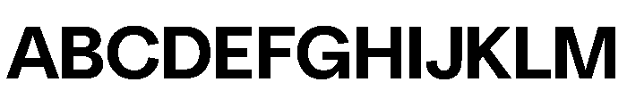 NeuSans Bold Instance Font UPPERCASE