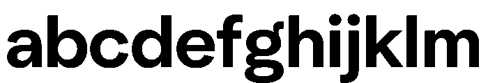 NeuSans Bold Instance FONT